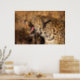 Yawning Leopard zeigt Zähne Poster (Kitchen)