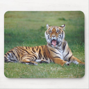 Yawning Tiger Mousepad