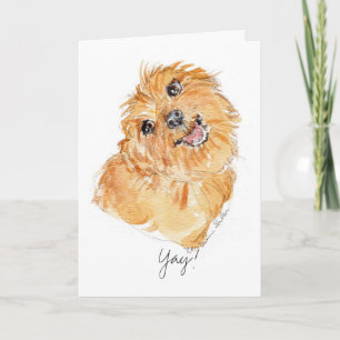 YAy! b'day Karte YDP Hundegedanken