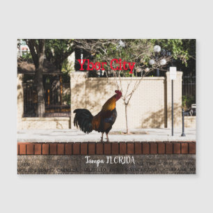 Ybor City, Tampa FLORIDA Magnetkarte