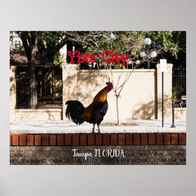 Ybor City, Tampa FLORIDA Poster (Vorne)