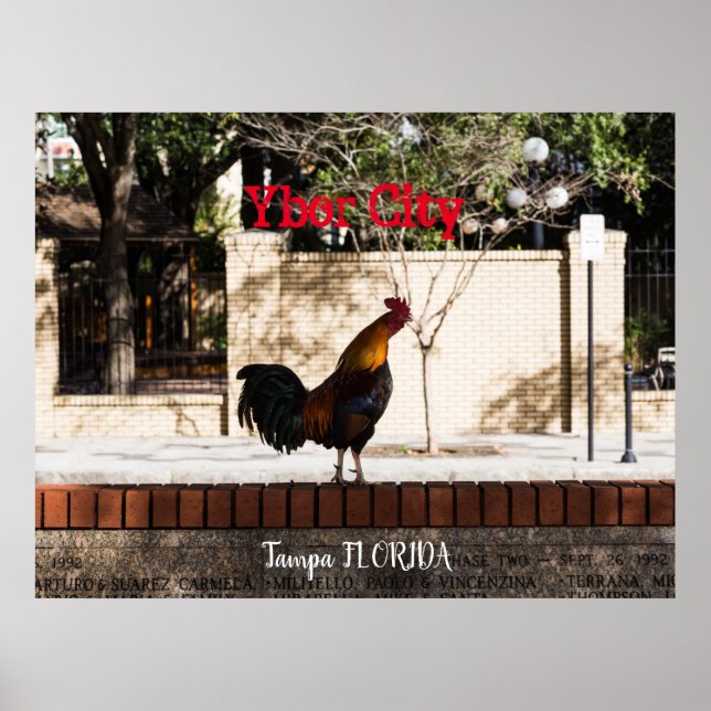 Ybor City, Tampa FLORIDA Poster (Vorne)