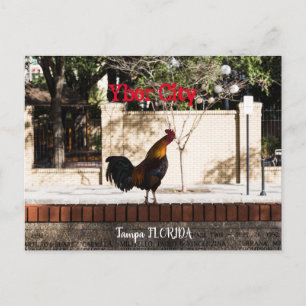 Ybor City, Tampa FLORIDA  Postkarte