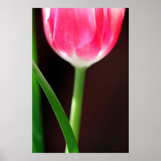 Yearning Poster (Vorne)