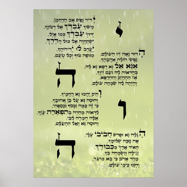 Yedid Nefesh Poster (Vorne)