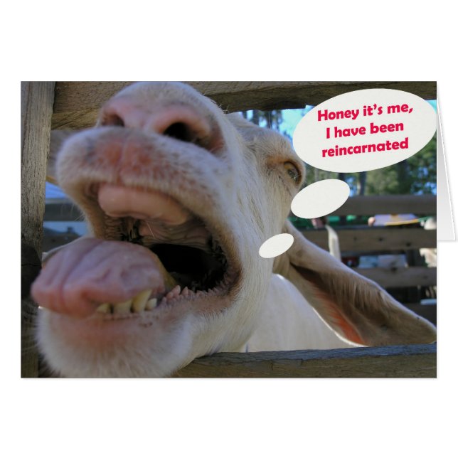 Yee Haw-Ziege - Karten (Vorderseite (Horizontal))