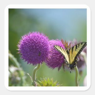 Yello Swallow Schwanz Butterfly Quadratischer Aufkleber