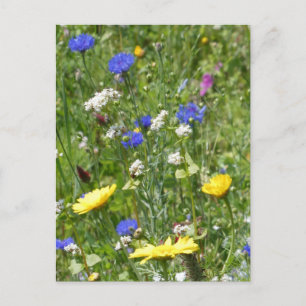 Yellow and Blue Wildblumen DIY Postkarte