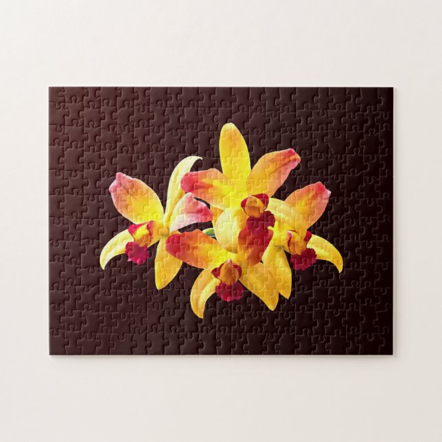 Yellow and Maroon Orchids Brassolaeliocattleya Puzzle (Horizontal)