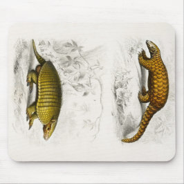 Yellow armadillo Indian Pangolin Illustration Mousepad
