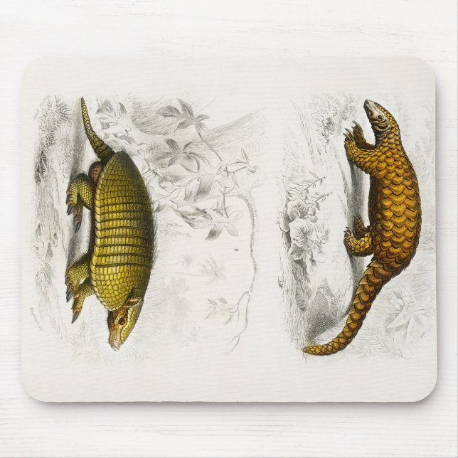 Yellow armadillo Indian Pangolin Illustration Mousepad (Vorne)