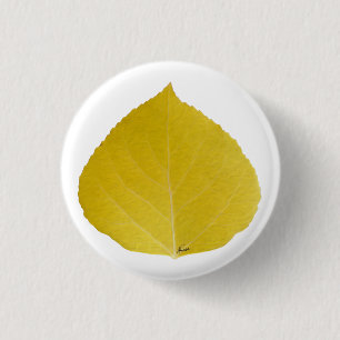 Yellow Aspen Leaf #5 Button