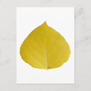 Yellow Aspen Leaf #5 Postkarte