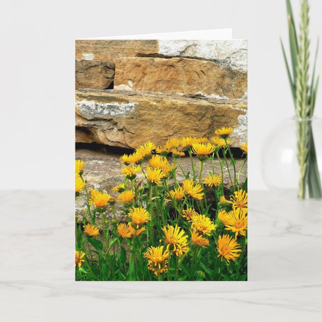 Yellow Asters Dankeskarte (Vorderseite)