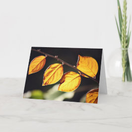 Yellow Autumn Leaaves Note Card Karte
