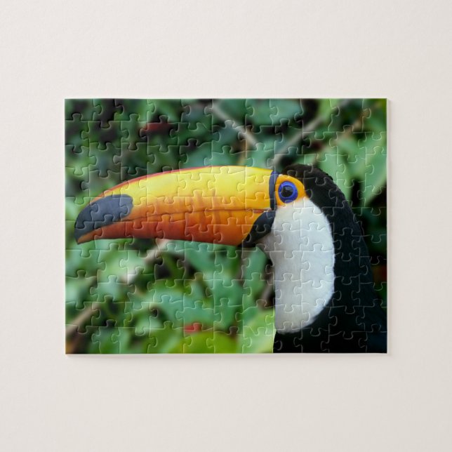 Yellow Beaked Toucan Puzzle (Horizontal)