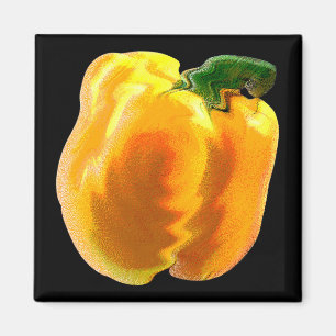 Yellow Bell Pepper Magnet