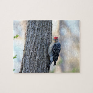 Yellow Bellied Woodpecker Puzzle