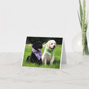 Yellow & Black Labrador Retriever Puppy Note Card Karte