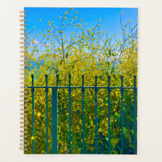 Yellow Blooms Spiralplaner Planer