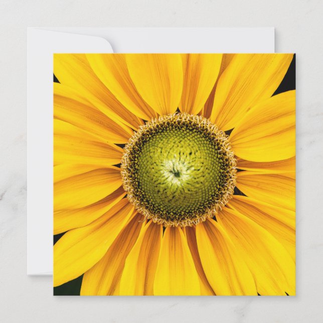 Yellow Blume Vielen Dank (Vorderseite)