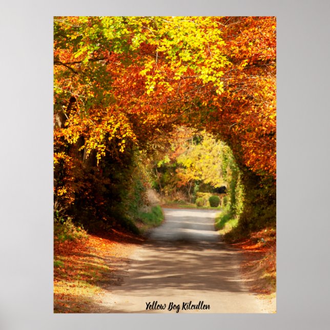 Yellow Bog Kilcullen Poster (Vorne)