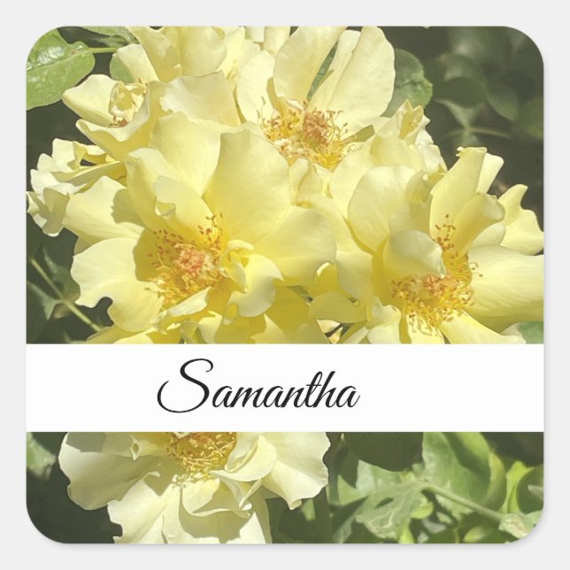 Yellow Botanical Flowers Quadratischer Aufkleber (Vorderseite)