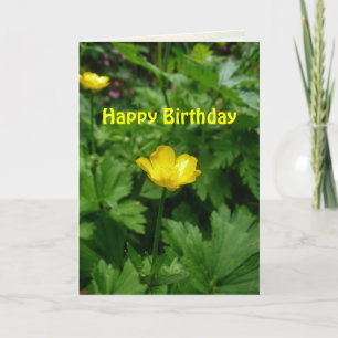 Yellow Buttercup Flower Birthday Template Karte