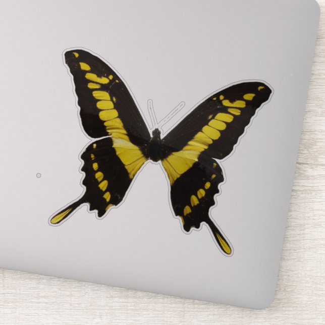 Yellow Butterfly Aufkleber (Detail)