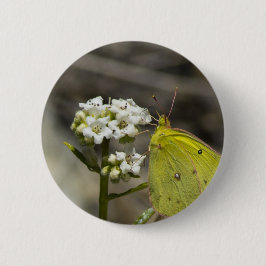Yellow Butterfly Button
