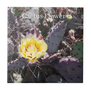 Yellow Cactus Flower Fliese