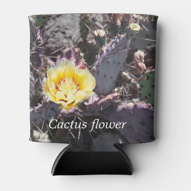 Yellow cactus flower in spring dosenkühler