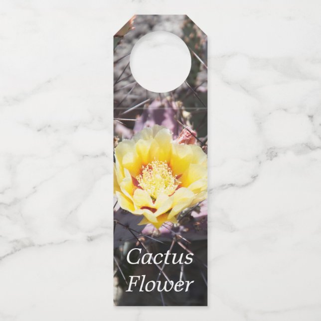 Yellow cactus flower in spring flaschenanhänger (Vorderseite)