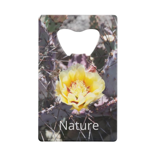 Yellow cactus flower in spring geldbeutel flaschenöffner (Vorderseite)