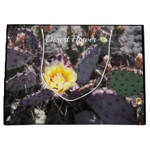 Yellow cactus flower in spring