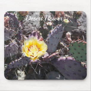 Yellow cactus flower in spring mousepad