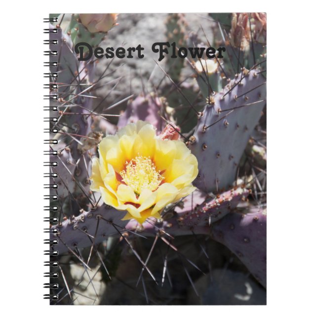 Yellow cactus flower in spring notizblock (Vorderseite)