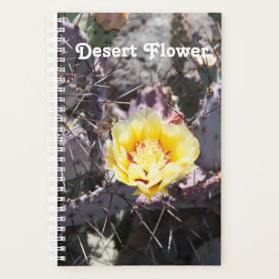 Yellow cactus flower in spring planer