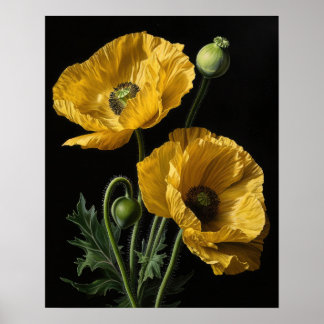 Yellow California Poppy Blume Art Print Poster