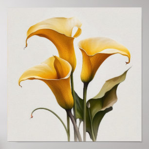Yellow Calles Lilies Lily Blume Poster
