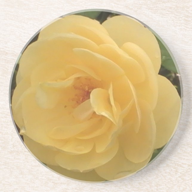 Yellow Camellia Untersetzer (Vorne)
