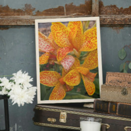 Yellow Canna Lily with Red Speckles Floral Fotodruck
