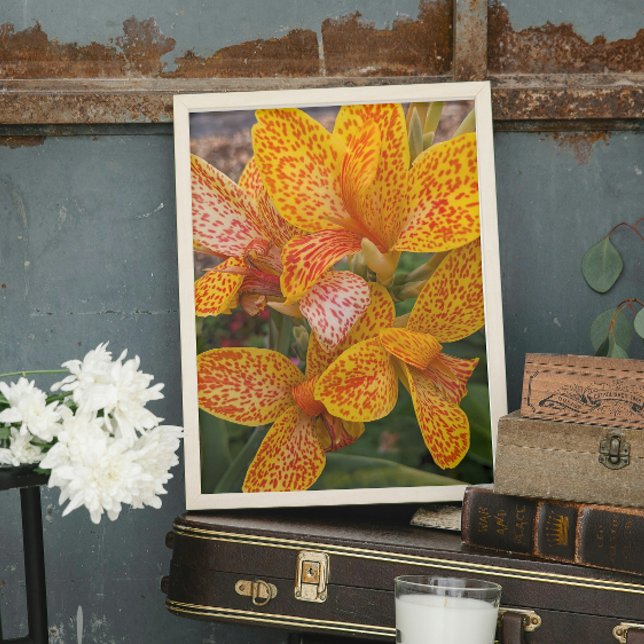 Yellow Canna Lily with Red Speckles Floral Fotodruck (In Situ (Framed))