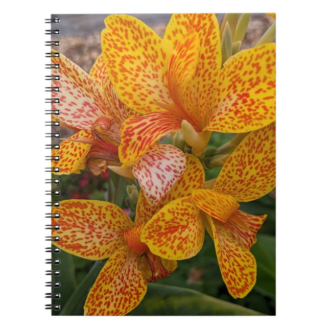 Yellow Canna Lily with Red Speckles Floral Notizblock (Vorderseite)