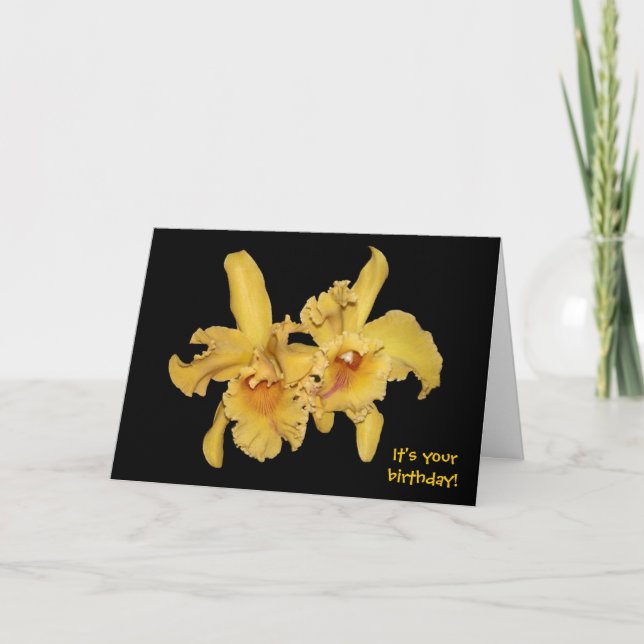 Yellow Cattleya Orchid Geburtstagskarte Karte (Vorderseite)