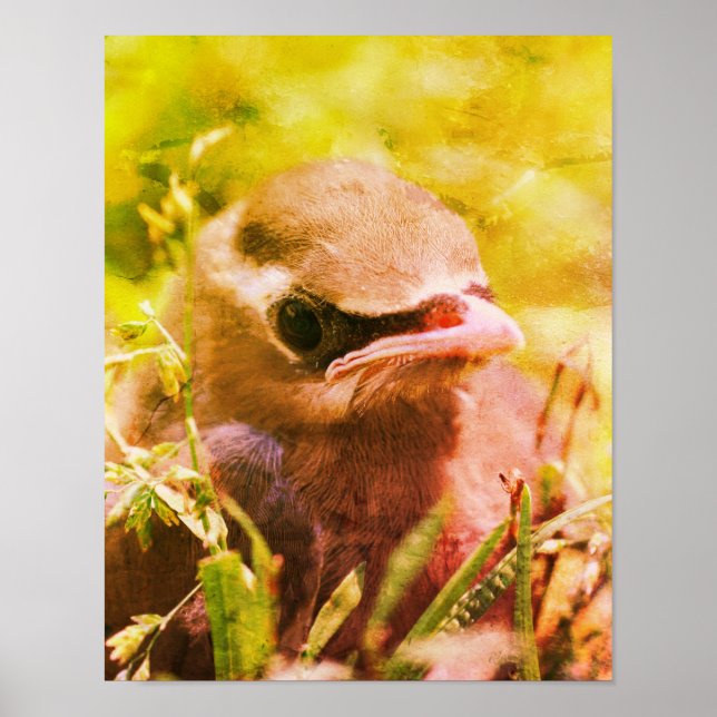 Yellow Cedar Waxwing Fledgling Bird Abstrakt Poster (Vorne)