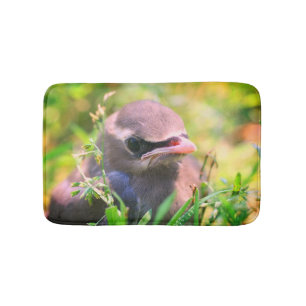 Yellow Cedar Waxwing Fledgling Bird Badematte