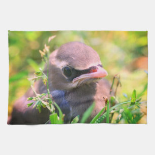Yellow Cedar Waxwing Fledgling Bird Geschirrtuch