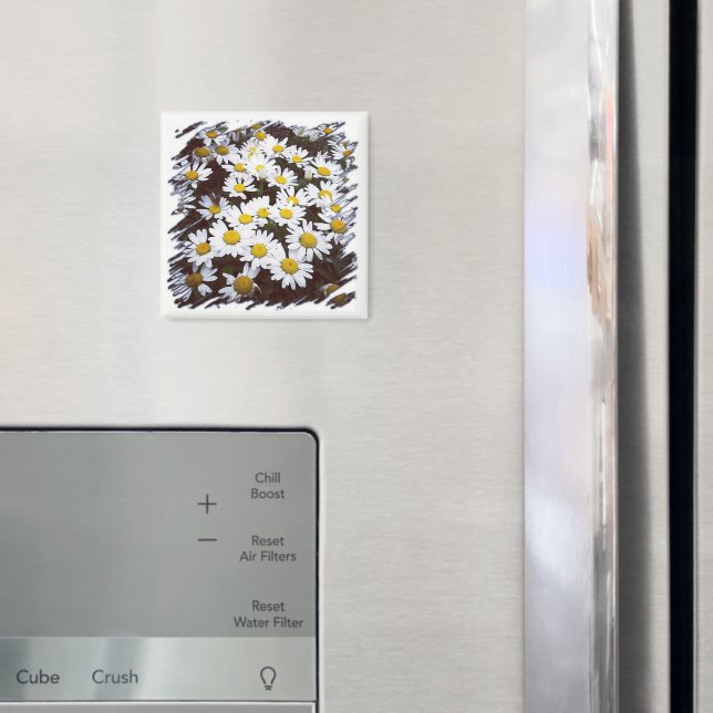 Yellow Center White Shasta Daisies Fotograf Magnet (In Situ (Kühlschrank))