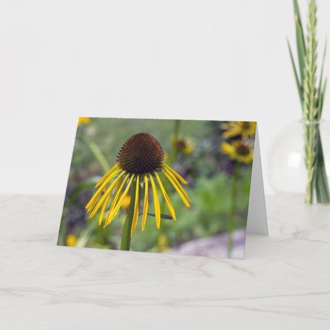 Yellow Coneflower Blank Note Card Karte (Vorderseite)